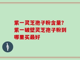 紫一灵芝孢子粉含量？紫一破壁灵芝孢子粉到哪里买最好