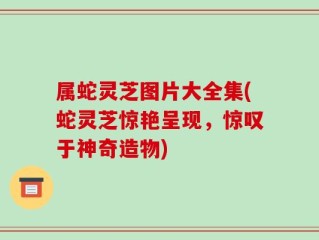 属蛇灵芝图片大全集(蛇灵芝惊艳呈现，惊叹于神奇造物)