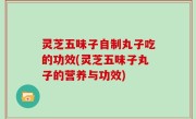灵芝五味子自制丸子吃的功效(灵芝五味子丸子的营养与功效)