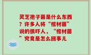 灵芝孢子菌是什么东西？许多人将“棺材菌”说的很吓人，“棺材菌”究竟是怎么回事儿