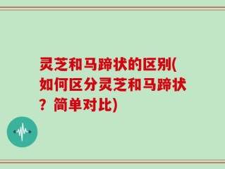 灵芝和马蹄状的区别(如何区分灵芝和马蹄状？简单对比)