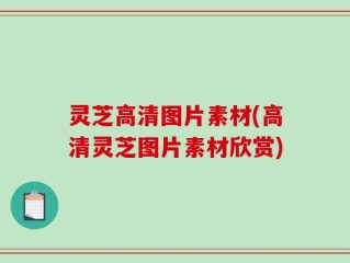灵芝高清图片素材(高清灵芝图片素材欣赏)