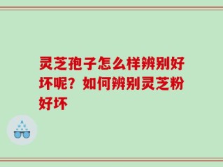灵芝孢子怎么样辨别好坏呢？如何辨别灵芝粉好坏