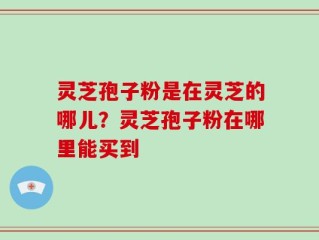 灵芝孢子粉是在灵芝的哪儿？灵芝孢子粉在哪里能买到