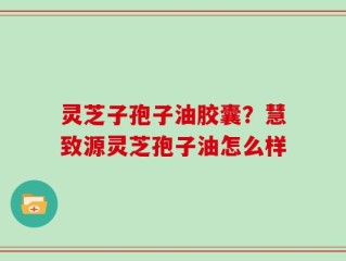 灵芝子孢子油胶囊？慧致源灵芝孢子油怎么样