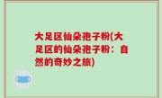 大足区仙朵孢子粉(大足区的仙朵孢子粉：自然的奇妙之旅)
