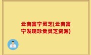 云南富宁灵芝(云南富宁发现珍贵灵芝资源)