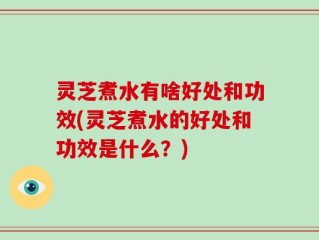 灵芝煮水有啥好处和功效(灵芝煮水的好处和功效是什么？)