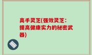 高手灵芝(强效灵芝：提高健康实力的秘密武器)