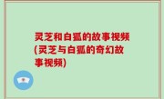 灵芝和白狐的故事视频(灵芝与白狐的奇幻故事视频)
