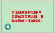 灵芝站到宝农北路(从灵芝站到宝农北路：穿越无锡城市生活线路)