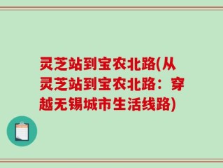 灵芝站到宝农北路(从灵芝站到宝农北路：穿越无锡城市生活线路)