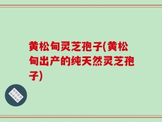 黄松甸灵芝孢子(黄松甸出产的纯天然灵芝孢子)