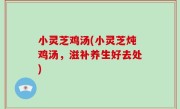 小灵芝鸡汤(小灵芝炖鸡汤，滋补养生好去处)