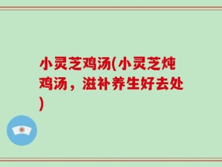 小灵芝鸡汤(小灵芝炖鸡汤，滋补养生好去处)