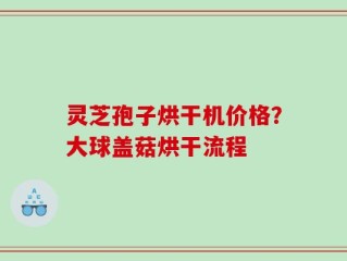 灵芝孢子烘干机价格？大球盖菇烘干流程