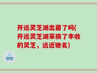 开远灵芝湖出菌了吗(开远灵芝湖采摘了丰收的灵芝，远近驰名)