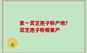 紫一灵芝孢子粉产地？灵芝孢子粉哪里产