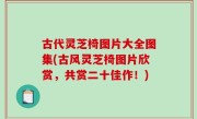 古代灵芝椅图片大全图集(古风灵芝椅图片欣赏，共赏二十佳作！)