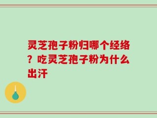 灵芝孢子粉归哪个经络？吃灵芝孢子粉为什么出汗