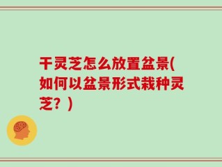 干灵芝怎么放置盆景(如何以盆景形式栽种灵芝？)