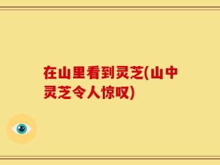 在山里看到灵芝(山中灵芝令人惊叹)