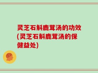 灵芝石斛鹿茸汤的功效(灵芝石斛鹿茸汤的保健益处)