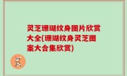 灵芝珊瑚纹身图片欣赏大全(珊瑚纹身灵芝图案大合集欣赏)
