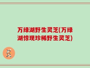 万绿湖野生灵芝(万绿湖惊现珍稀野生灵芝)