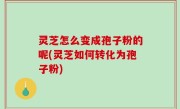 灵芝怎么变成孢子粉的呢(灵芝如何转化为孢子粉)