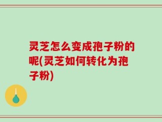 灵芝怎么变成孢子粉的呢(灵芝如何转化为孢子粉)