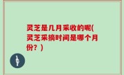 灵芝是几月采收的呢(灵芝采摘时间是哪个月份？)