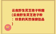 云南野生灵芝孢子粉图(云南野生灵芝孢子粉：珍贵的天然保健佳品)