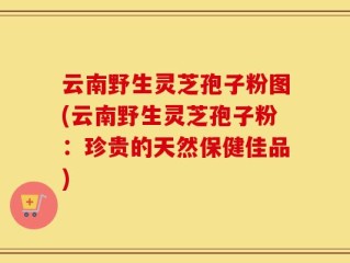 云南野生灵芝孢子粉图(云南野生灵芝孢子粉：珍贵的天然保健佳品)