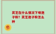 灵芝在什么情况下喷孢子粉？灵芝孢子粉怎么种