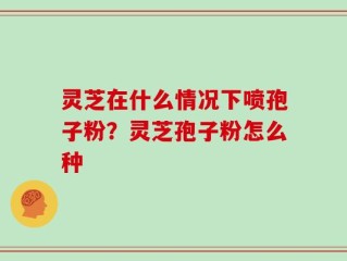 灵芝在什么情况下喷孢子粉？灵芝孢子粉怎么种