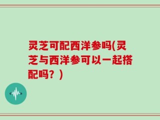 灵芝可配西洋参吗(灵芝与西洋参可以一起搭配吗？)