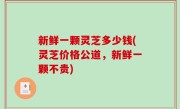 新鲜一颗灵芝多少钱(灵芝价格公道，新鲜一颗不贵)