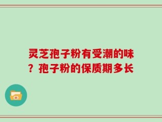 灵芝孢子粉有受潮的味？孢子粉的保质期多长
