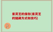 紫灵芝的保存(紫灵芝的储藏方式和技巧)
