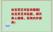 白玉灵芝吊坠效果图(白玉灵芝吊坠图，提升身心健康，实现内外修身)