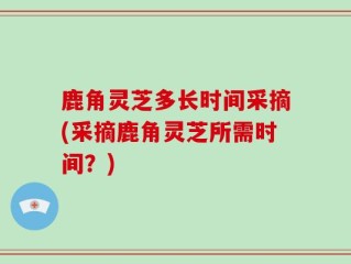 鹿角灵芝多长时间采摘(采摘鹿角灵芝所需时间？)