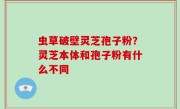虫草破壁灵芝孢子粉？灵芝本体和孢子粉有什么不同