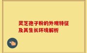 灵芝孢子粉的外观特征及其生长环境解析