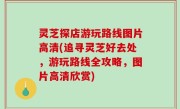 灵芝探店游玩路线图片高清(追寻灵芝好去处，游玩路线全攻略，图片高清欣赏)