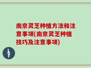 南京灵芝种植方法和注意事项(南京灵芝种植技巧及注意事项)