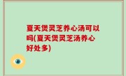 夏天煲灵芝养心汤可以吗(夏天煲灵芝汤养心好处多)