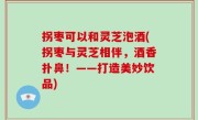 拐枣可以和灵芝泡酒(拐枣与灵芝相伴，酒香扑鼻！——打造美妙饮品)