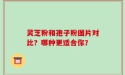 灵芝粉和孢子粉图片对比？哪种更适合你？