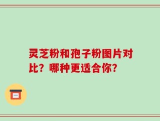 灵芝粉和孢子粉图片对比？哪种更适合你？